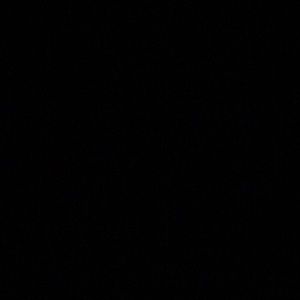 Meet your Posher, Antelmo